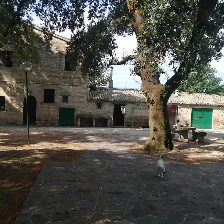 In Vecchio Granaio Farm stay Treia